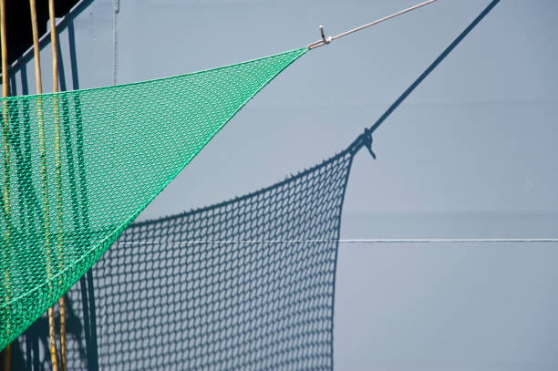 قیمت خرید توری سبز برای سایبان با فروش عمده